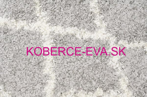 Behúň Shaggy Parisian 2655A G