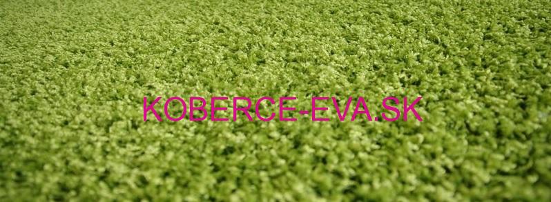 Koberec Shaggy Parisian zelený kruh